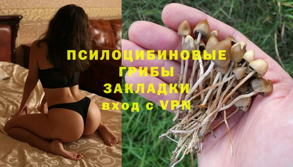 дмт Алзамай