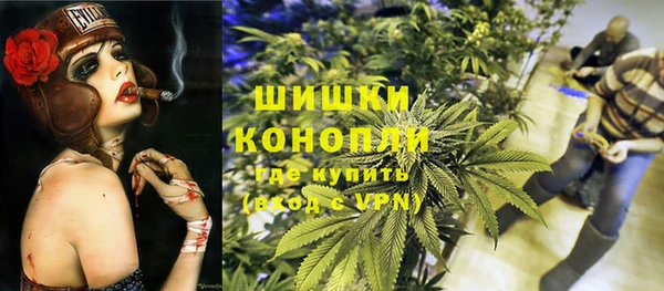 тгк Семилуки